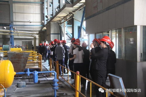 對標先進拓思路，鉬都利豪飯店管理人員及先進員工代表赴集團公司參觀學習酒店管理經驗